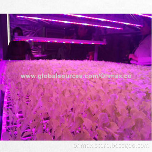 LED Hydroponics Grow Lights for Indoor Nursery Plants, Seeding, Vegetables/Fruits/Flowers Growing